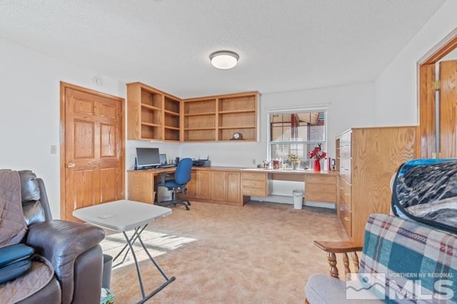 2521 E Valley Rd, Minden, NV 89423