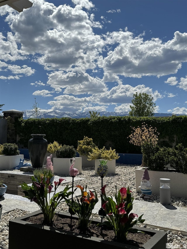 10005 Ellis Park Ln, Reno, NV 89521 - photo 40