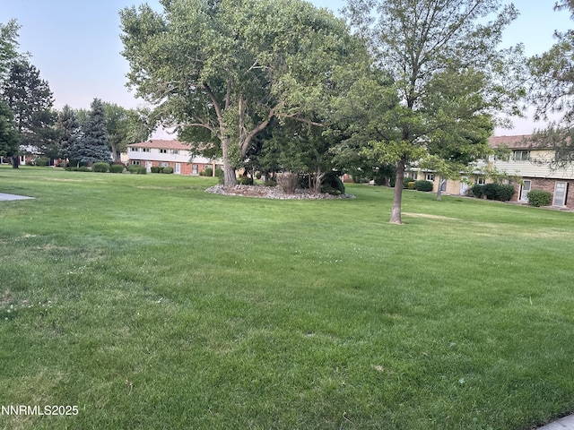 474 Smithridge Pkwy, Reno, NV 89502 - view of green lawn