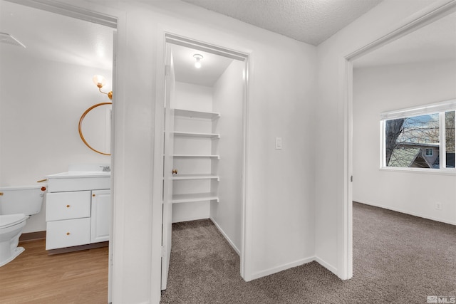 2267 Rock Blvd, Sparks, NV 89431 - view of closet