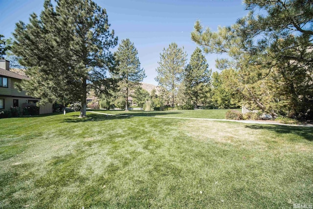 4769 Reggie Unit 254, Reno, NV 89502