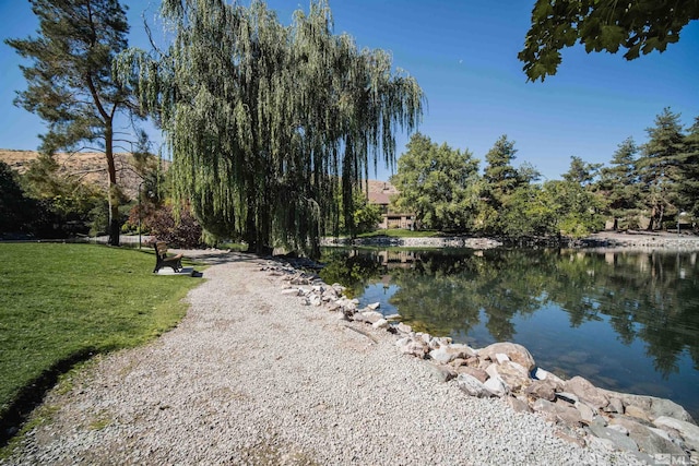 4769 Reggie Unit 254, Reno, NV 89502