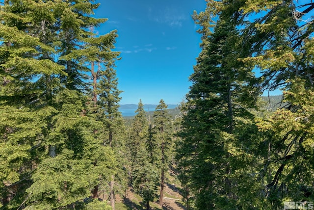 758 Milky Way Ct, Stateline, NV 89449 - view of mountain backdrop featuring a forest