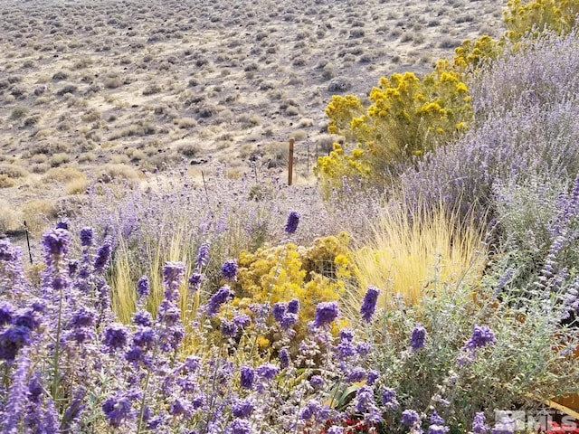 2330 Hillcrest Rd, Fernley, NV 89408