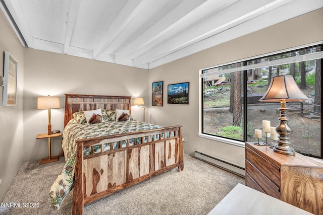 226 Clubhouse Cir, Zephyr Cove, NV 89448 - photo 19