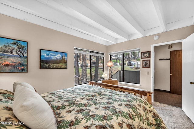 226 Clubhouse Cir, Zephyr Cove, NV 89448 - photo 21
