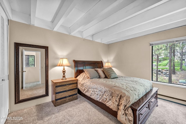 226 Clubhouse Cir, Zephyr Cove, NV 89448 - photo 20