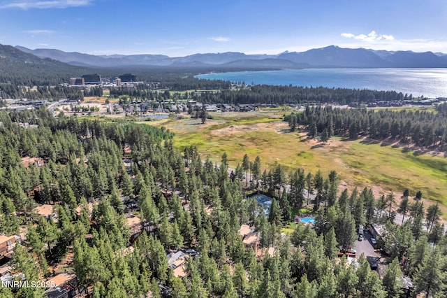226 Clubhouse Cir, Zephyr Cove, NV 89448 - photo 34