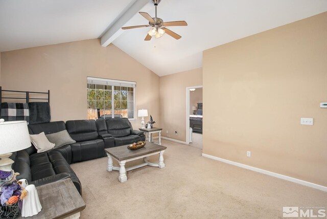 1215 Green Vly, Fallon, NV 89406 - photo 4