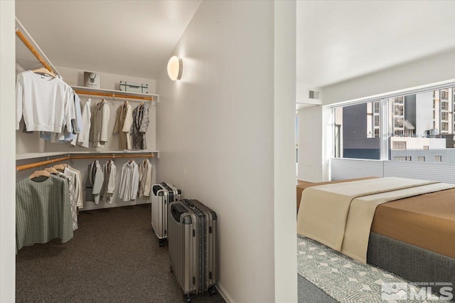 255 N Sierra St Unit 606, Reno, NV 89501 - walk in closet with radiator and carpet