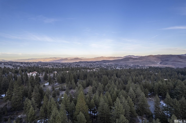 1155 Austrian Pine Rd, Reno, NV 89511