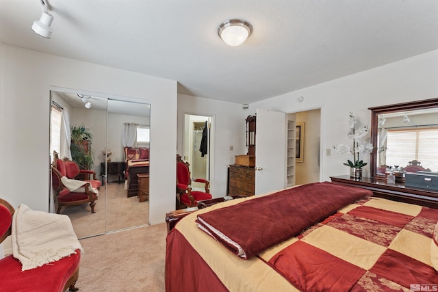 1000 Mountain, Carson City, NV 89703 - bedroom with light carpet, a closet, and multiple windows