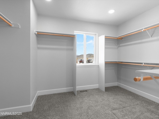 1367 Nevada Pacific Blvd, Fernley, NV 89408 - photo 30