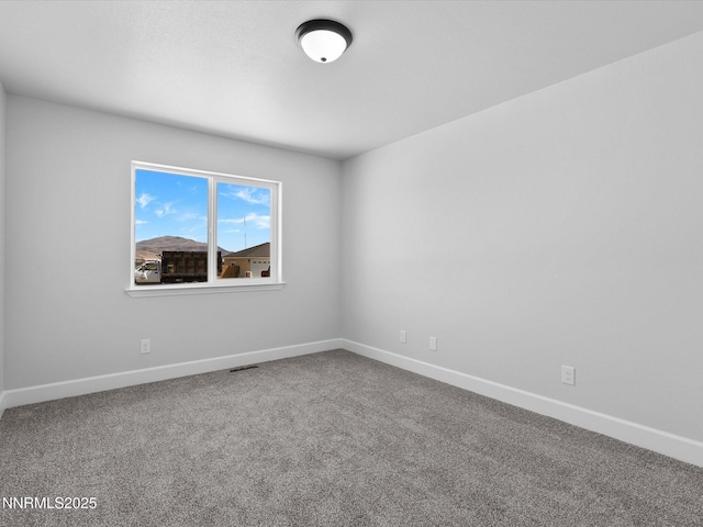 1367 Nevada Pacific Blvd, Fernley, NV 89408 - photo 33