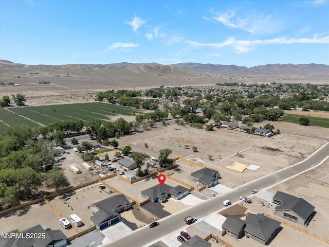 1367 Nevada Pacific Blvd, Fernley, NV 89408 - photo 54