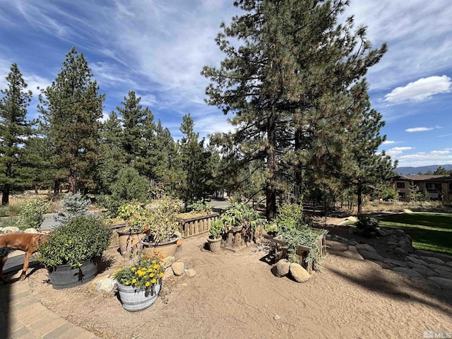 6140 Philoree Ln, Reno, NV 89511