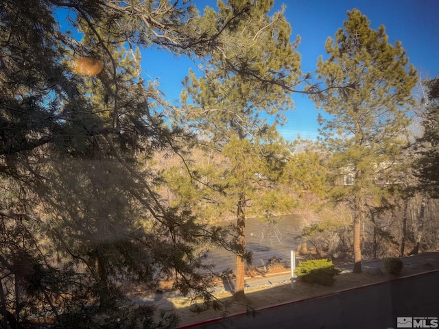 2855 Idlewild Dr Unit 223, Reno, NV 89509 - photo 23