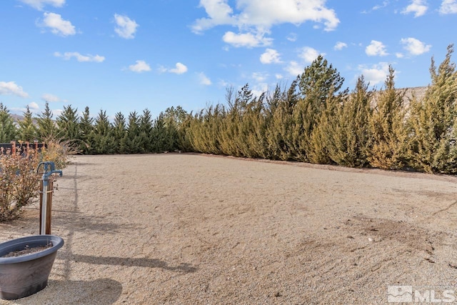 142 Denio Dr, Dayton, NV 89403