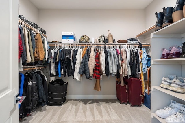 spacious closet featuring carpet flooring