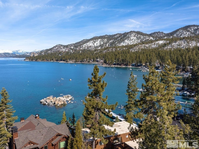 88 Skyland Ct, Zephyr Cove, NV 89448