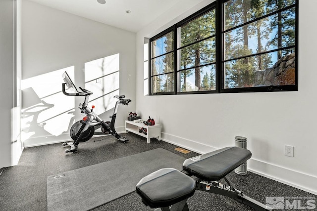 182 Tor Ct, Carson City, NV 89705 - photo 30