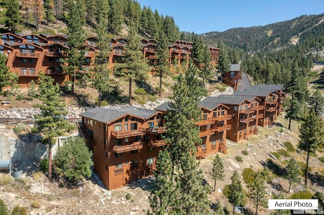 400 Fairview Blvd Unit 155, Incline Village, NV 89451 - view of subject property with a heavily wooded area and a mountain backdrop