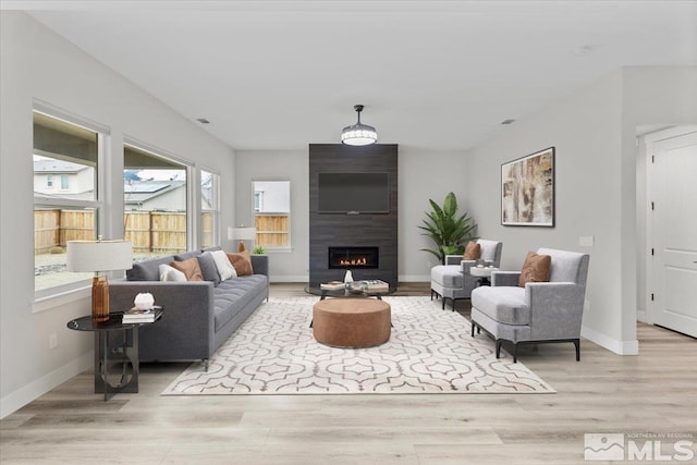 living area with wood finished floors, a fireplace, and baseboards