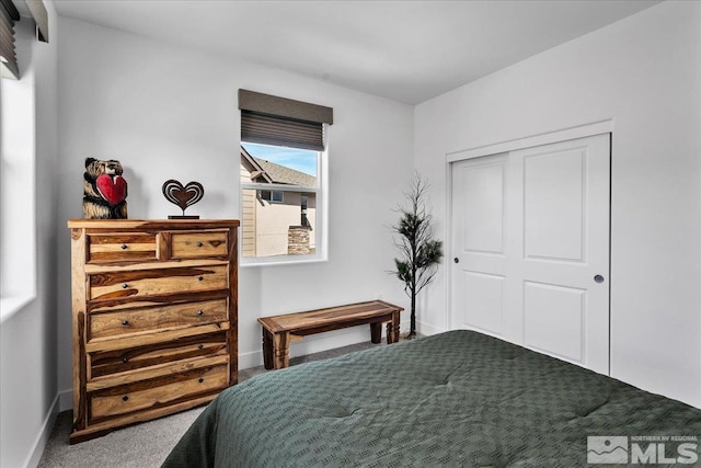 3631 Pulsar Ln Unit 1, Carson City, NV 89705 - bedroom featuring carpet, a closet, and baseboards