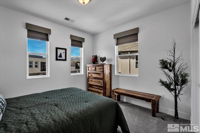 3631 Pulsar Ln Unit 1, Carson City, NV 89705 - bedroom featuring carpet, multiple windows, and baseboards