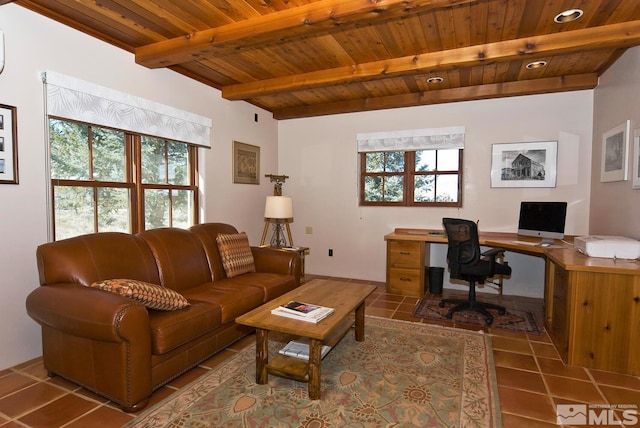 10 Dee Ct, Smith, NV 89430 - tiled home office featuring healthy amount of natural light, wood ceiling, and beam ceiling