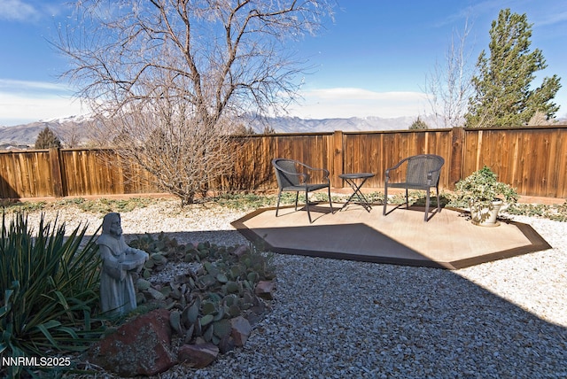 10 Dee Ct, Smith Valley, NV 89444 - fenced backyard with a patio and a mountain view