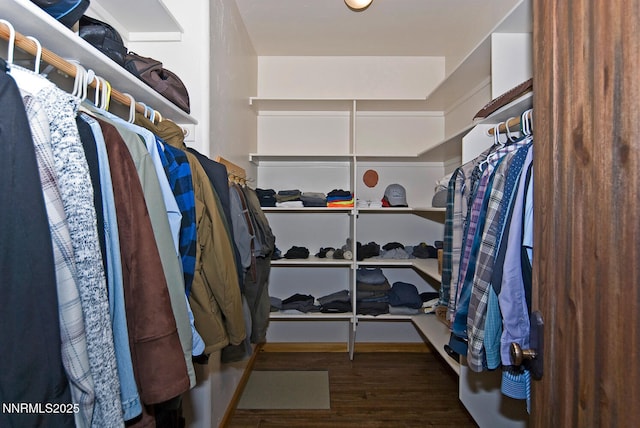 10 Dee Ct, Smith Valley, NV 89444 - spacious closet with wood finished floors