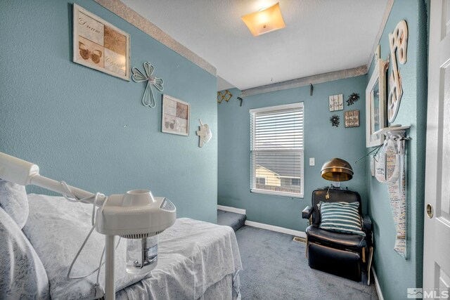1724 Pro Ct, Fernley, NV 89408 - photo 19