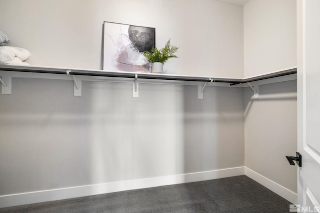 spacious closet featuring dark carpet