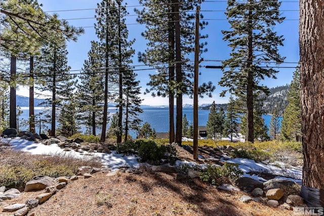 view of undeveloped land with a mountain backdrop