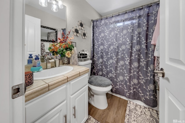 953 Julia Ln, Fernley, NV 89408 - bathroom featuring wood finished floors, toilet, vanity, and a shower with shower curtain