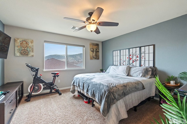 2369 Pintail Dr, Carson City, NV 89701 - photo 21