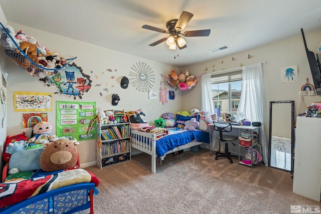 2369 Pintail Dr, Carson City, NV 89701 - photo 27