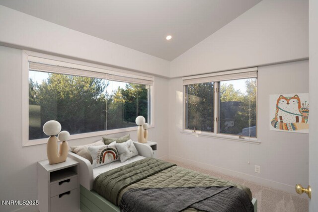 4292 Caughlin Pkwy, Reno, NV 89519 - photo 36