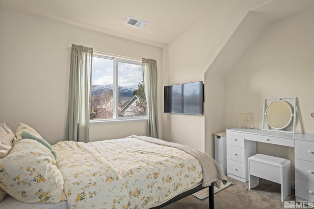 bedroom with carpet floors