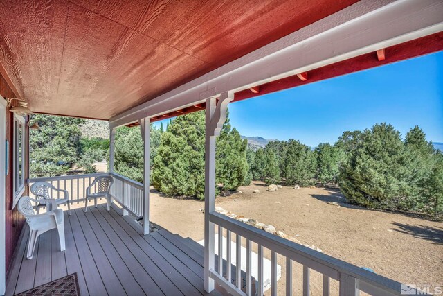 591 Pine Nut Rd, Coleville, CA 96107 - photo 4
