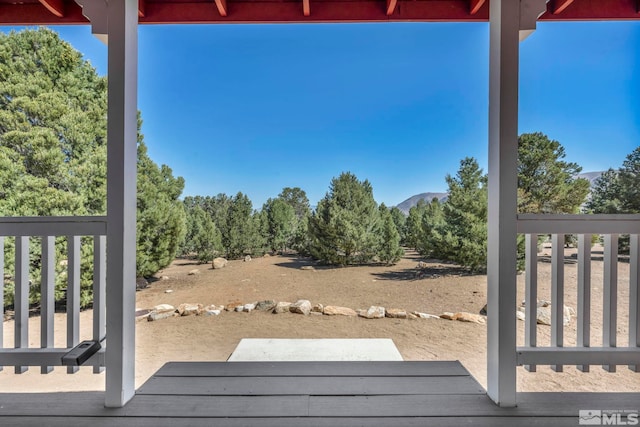 591 Pine Nut Rd, Coleville, CA 96107 - photo 5