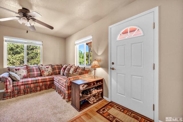 591 Pine Nut Rd, Coleville, CA 96107 - photo 8