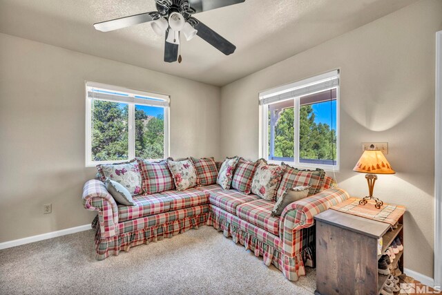 591 Pine Nut Rd, Coleville, CA 96107 - photo 13