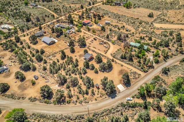 591 Pine Nut Rd, Coleville, CA 96107 - photo 30