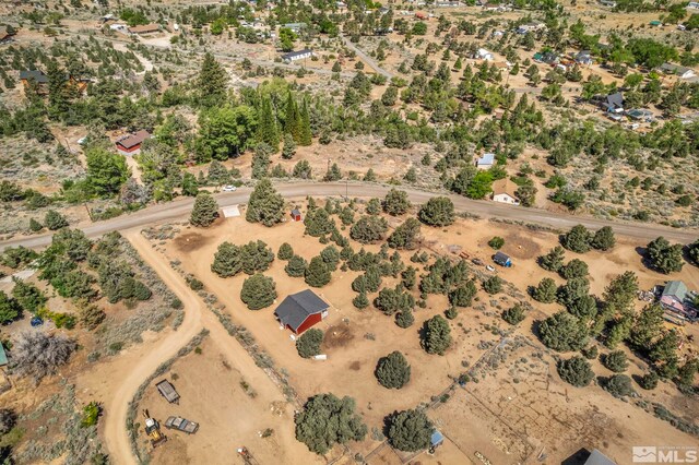 591 Pine Nut Rd, Coleville, CA 96107 - photo 39
