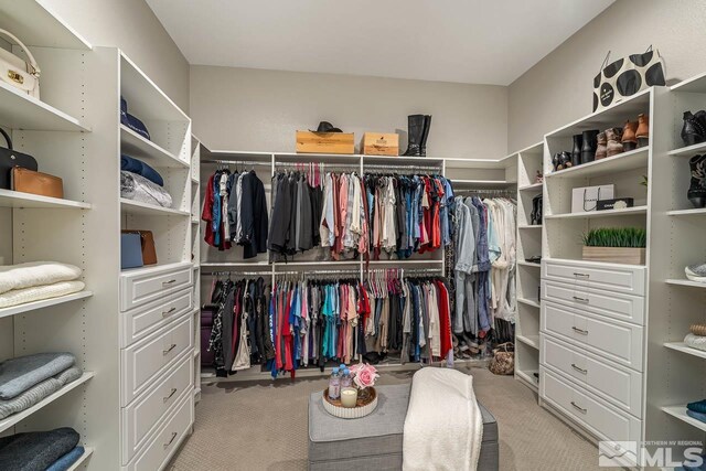 721 Marewood Trl, Reno, NV 89511 - walk in closet featuring light colored carpet