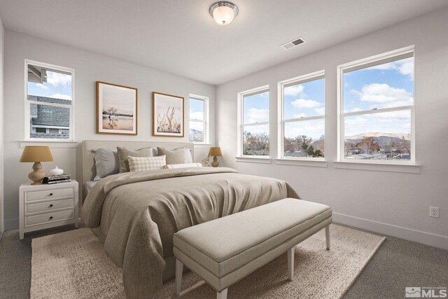 1152 Grove St Unit 78, Carson City, NV 89701