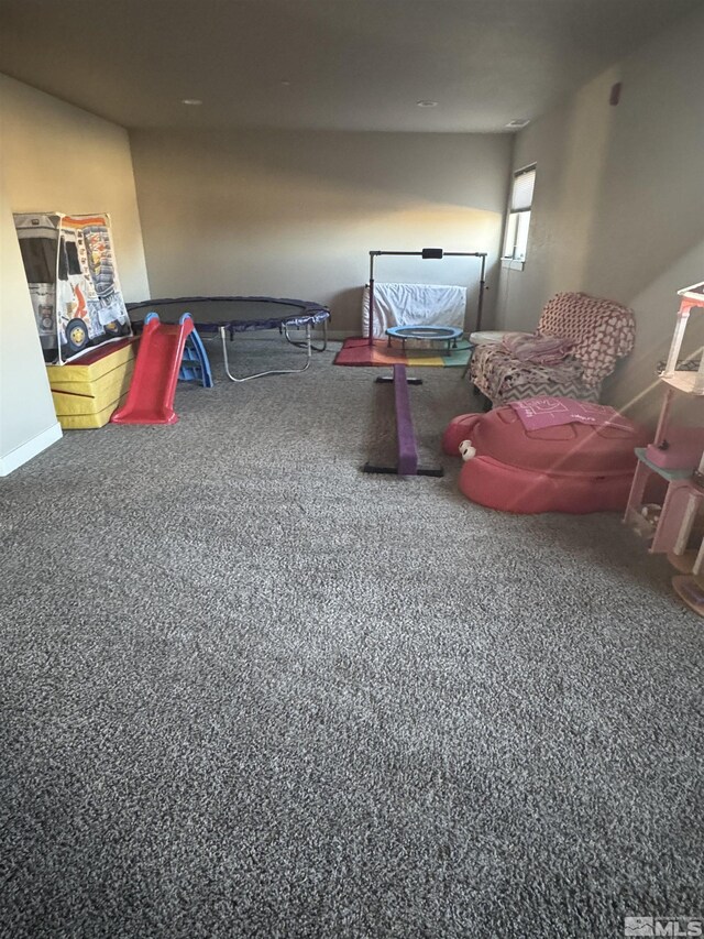 1194 Montevideo Cir, Minden, NV 89423 - photo 15