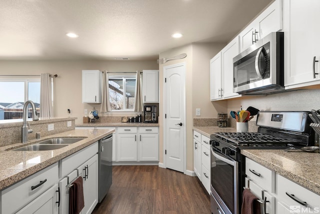 1953 Verona Dr, Fallon, NV 89406 - kitchen featuring appliances with stainless steel finishes, a sink, plenty of natural light, dark wood finished floors, and recessed lighting
